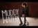 Muddy Waters Download Free