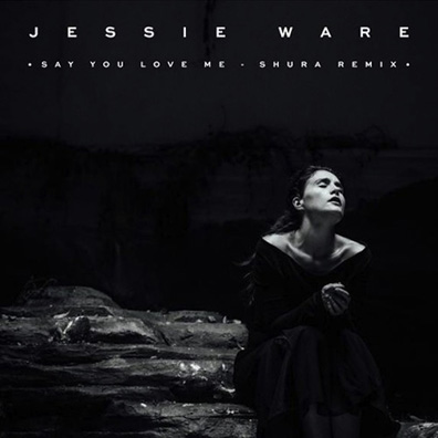 Say You Love Me Download Free