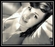 Love Is All We Need Download Free