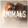Animals Download Free