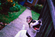 Bite Before You Bark Download Free
