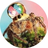 StrangeAnimals Ringtone