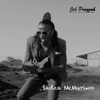 Sadza Nemuriwo Download Free